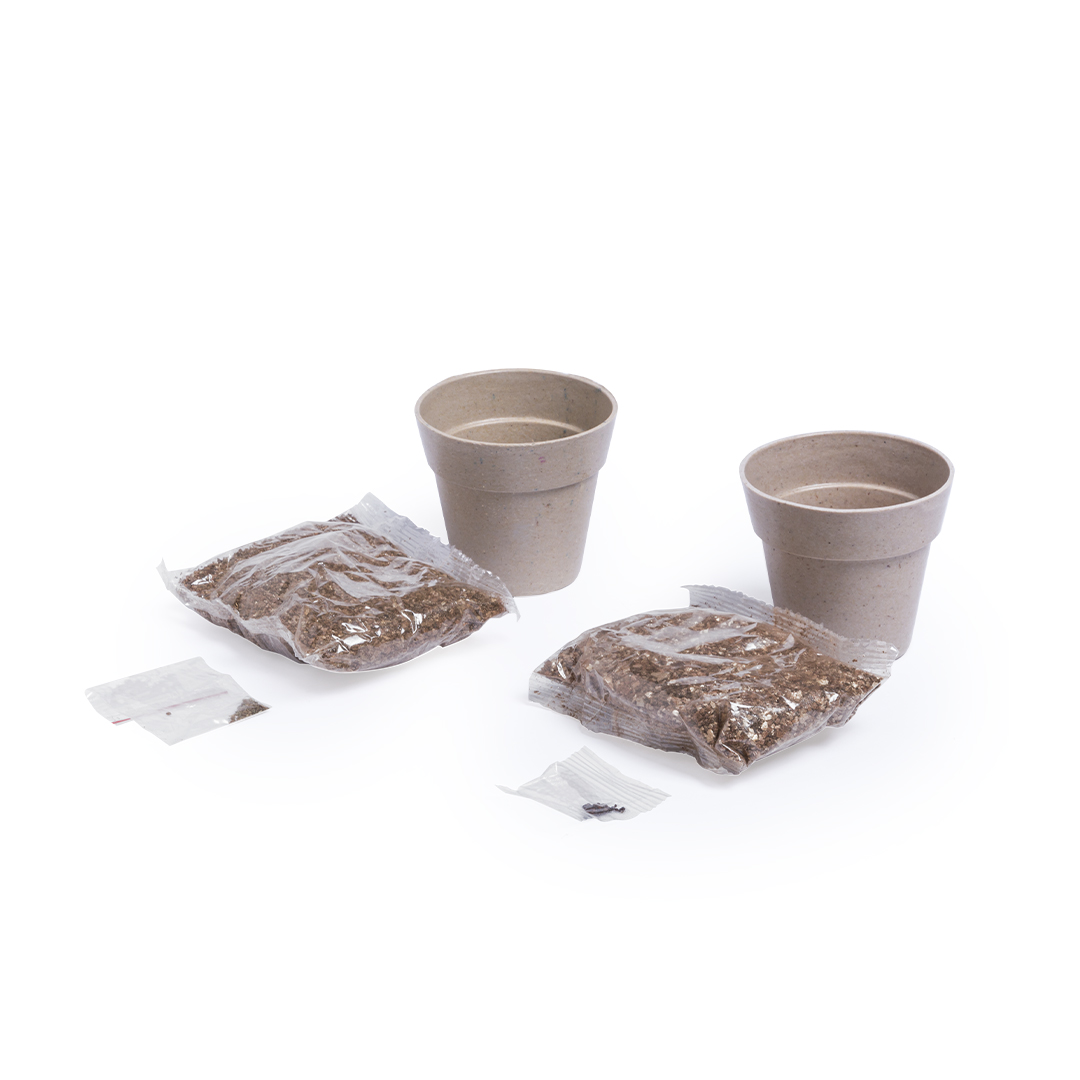 Nertel – Seedsticks – Swagg – photo 1 of 5