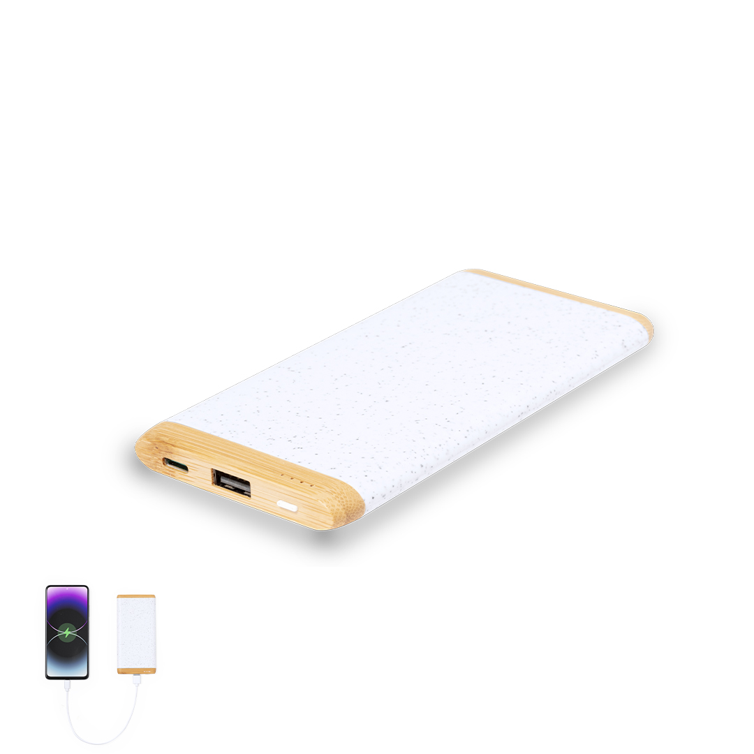 Coquin Power Bank – Powerbanks